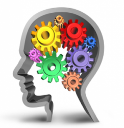 Centre Référent de Réhabilitation Psychosociale Nouvelle-Aquitaine sud  